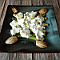 Asperges et burrata, échalotes et furikake
