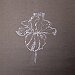 16_fleurs_noires