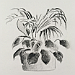 sketch_01