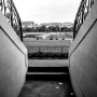 Hippodrome d'Auteuil, 2013