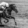 Hippodrome d'Auteuil, 2013