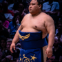 sumo_20260613_DSCF0992