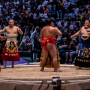 sumo_20260613_DSCF0996