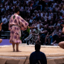 sumo_20260613_DSCF1004