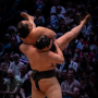 sumo_20260613_DSCF1010