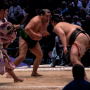 sumo_20260613_DSCF1013