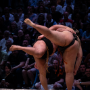 sumo_20260613_DSCF1014