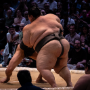sumo_20260613_DSCF1016