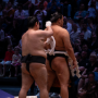 sumo_20260613_DSCF1030