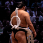 sumo_20260613_DSCF1032