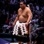 sumo_20260613_DSCF1034