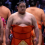 sumo_20260613_DSCF1047