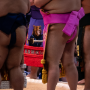 sumo_20260613_DSCF1050