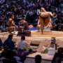 sumo_20260613_DSCF1073
