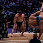sumo_20260613_DSCF1088
