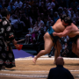 sumo_20260613_DSCF1093