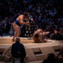 sumo_20260613_DSCF1098