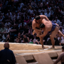 sumo_20260613_DSCF1128