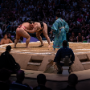sumo_20260613_DSCF1181