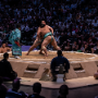 sumo_20260613_DSCF1184