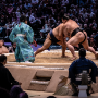 sumo_20260613_DSCF1190