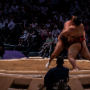 sumo_20260613_DSCF1196