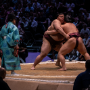 sumo_20260613_DSCF1204