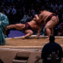 sumo_20260613_DSCF1205