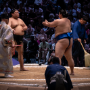 sumo_20260613_DSCF1206