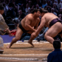 sumo_20260613_DSCF1227