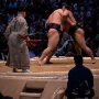 sumo_20260613_DSCF1229