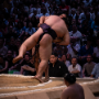sumo_20260613_DSCF1231