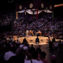 sumo_20260613_DSCF1269