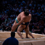 sumo_20260613_DSCF1275