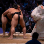 sumo_20260613_DSCF1299