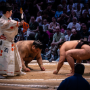 sumo_20260613_DSCF1309