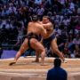 sumo_20260613_DSCF1311