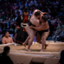 sumo_20260613_DSCF1323