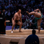 sumo_20260613_DSCF1329