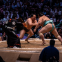 sumo_20260613_DSCF1332