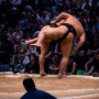 sumo_20260613_DSCF1346