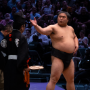 sumo_20260613_DSCF1347