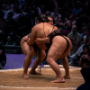 sumo_20260613_DSCF1362