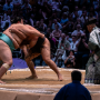 sumo_20260613_DSCF1377