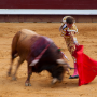 Corrida, Dax, France, 2017