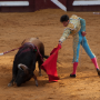 Corrida, Dax, France, 2017