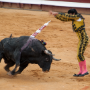 Corrida, Dax, France, 2017