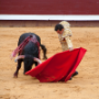 Corrida, Dax, France, 2017
