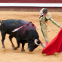 Corrida, Dax, France, 2017