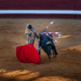 Corrida, Dax, France, 2018